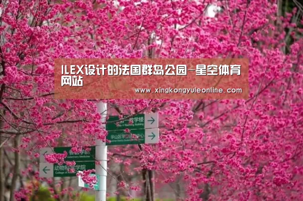 星空体育网站