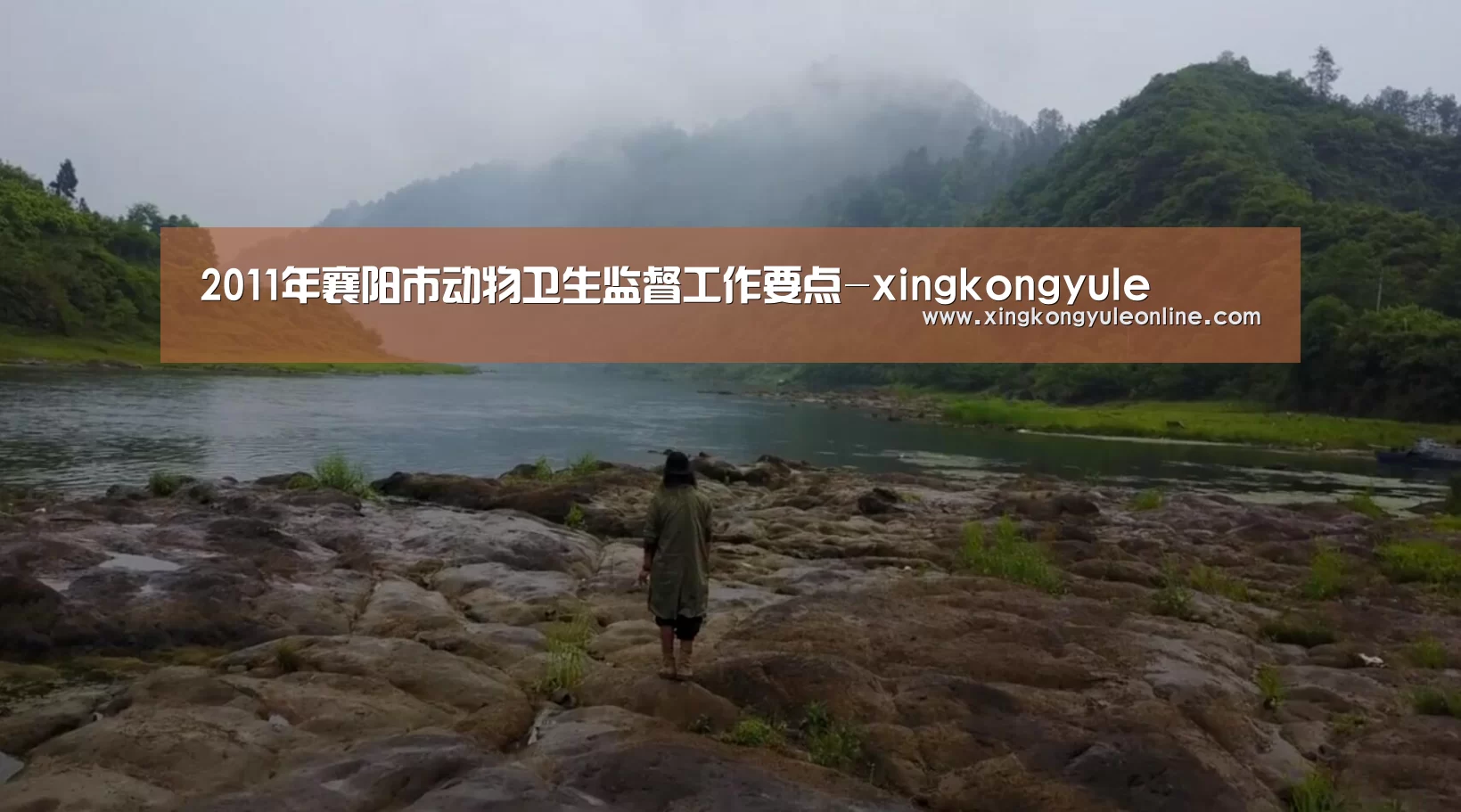 2011年襄阳市动物卫生监督工作要点-xingkongyule(图1) 星空体育