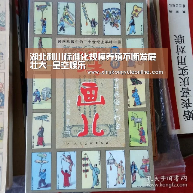 星空体育网站