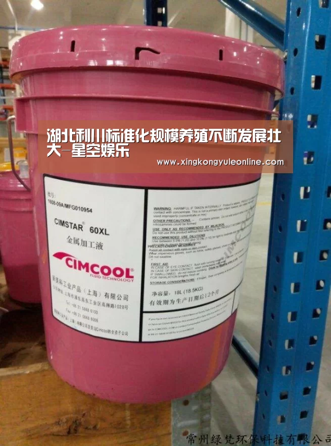 星空娱乐