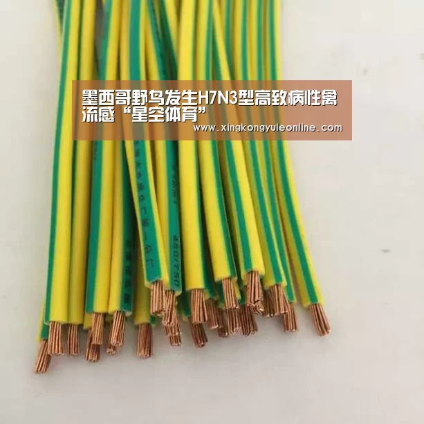 墨西哥野鸟发生H7N3型高致病性禽流感“星空体育”(图4) 星空娱乐